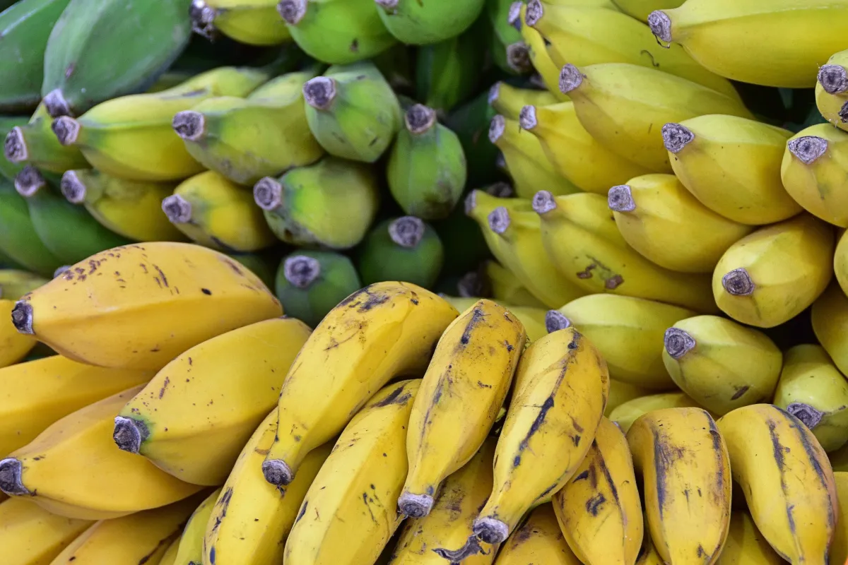 Fresh fruits