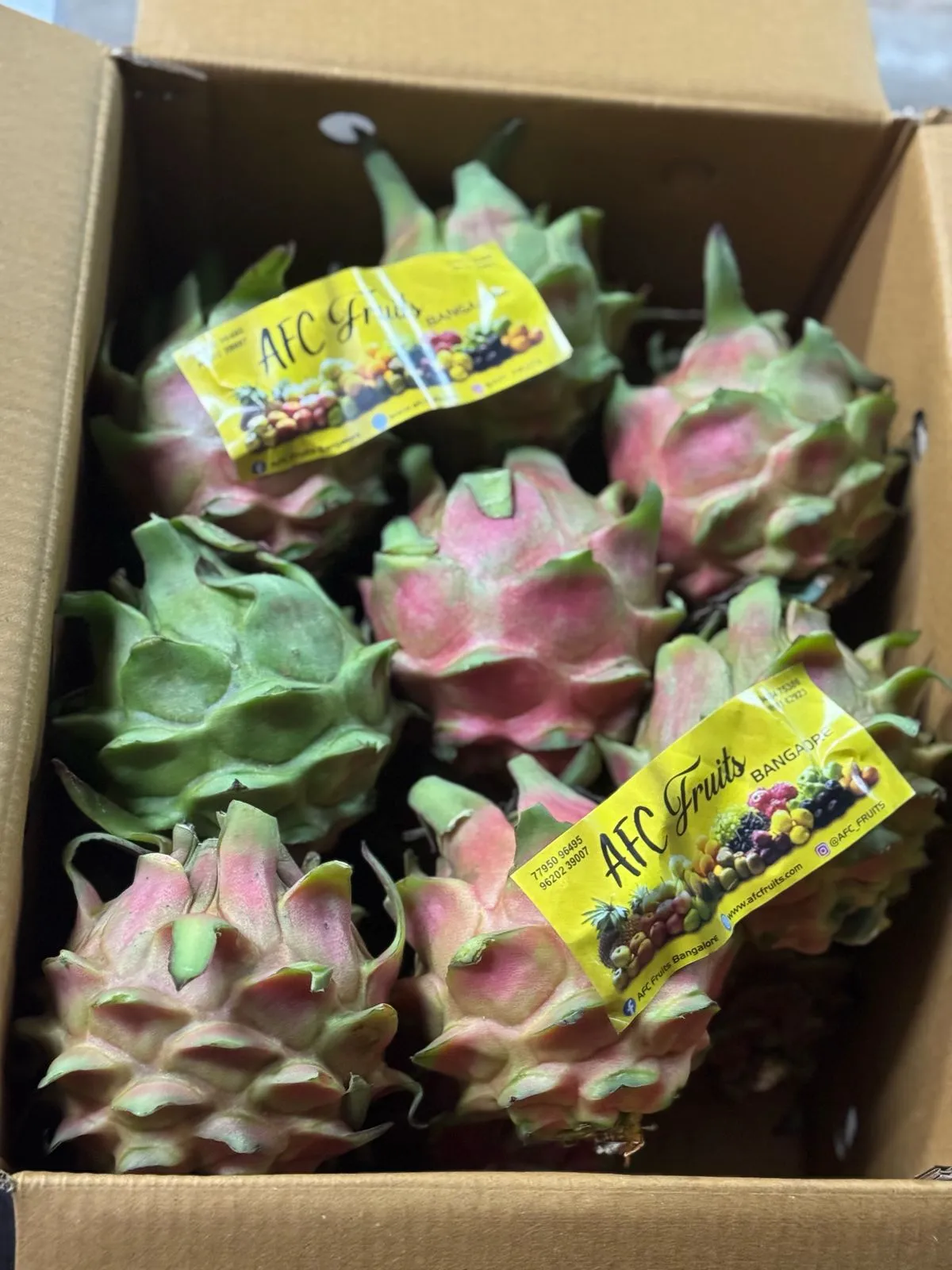 Dragon fruit
